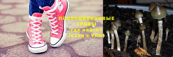 мяу мяу мука Алзамай