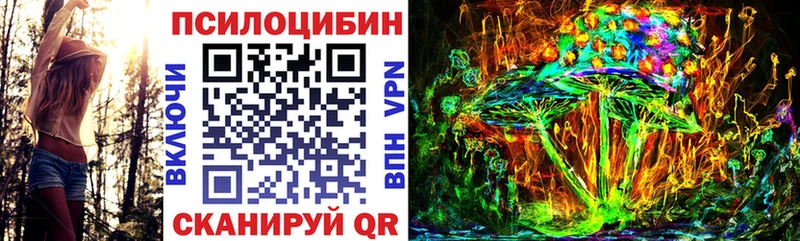 Псилоцибиновые грибы прущие грибы  Алексеевка 