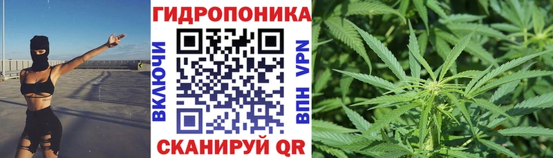 Шишки марихуана семена Алексеевка